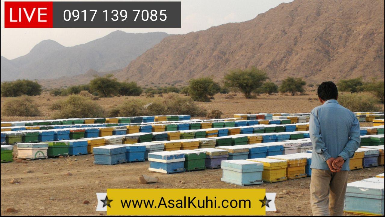 فروش عسل کنار